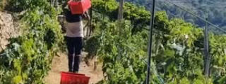 Tiziana e Luca, lunga vita al Rossese!